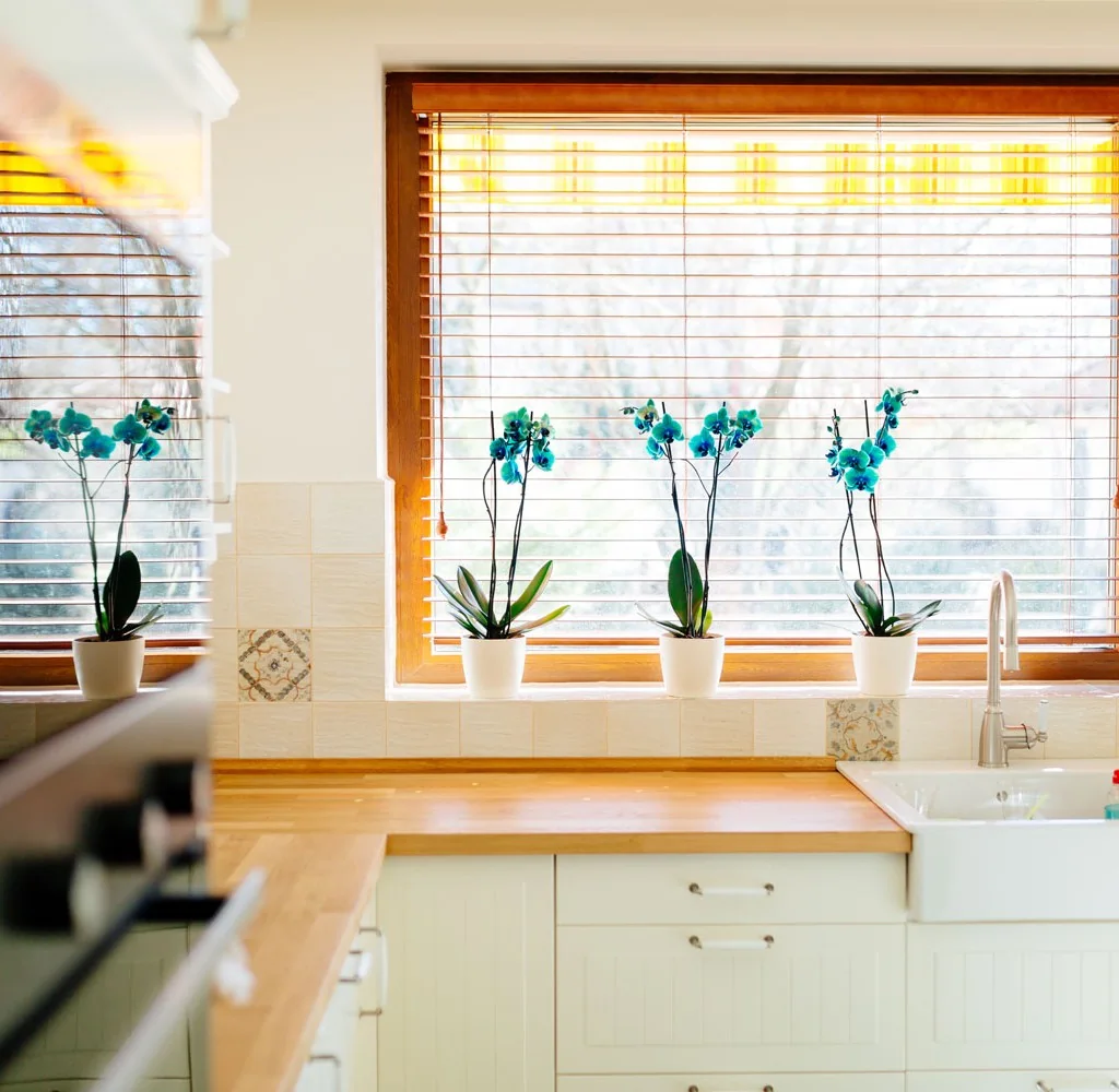 Warm kitchen with wood-toned horizontal blinds